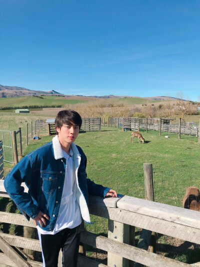 bts 新西兰