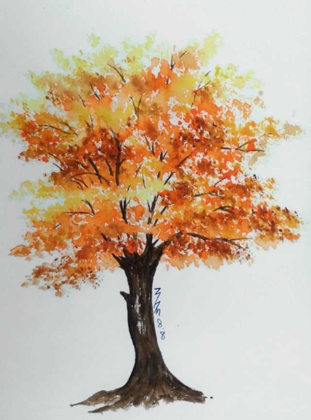 丙烯画树的画法图片
