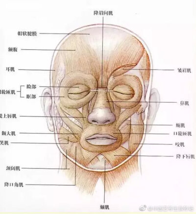 人物素材