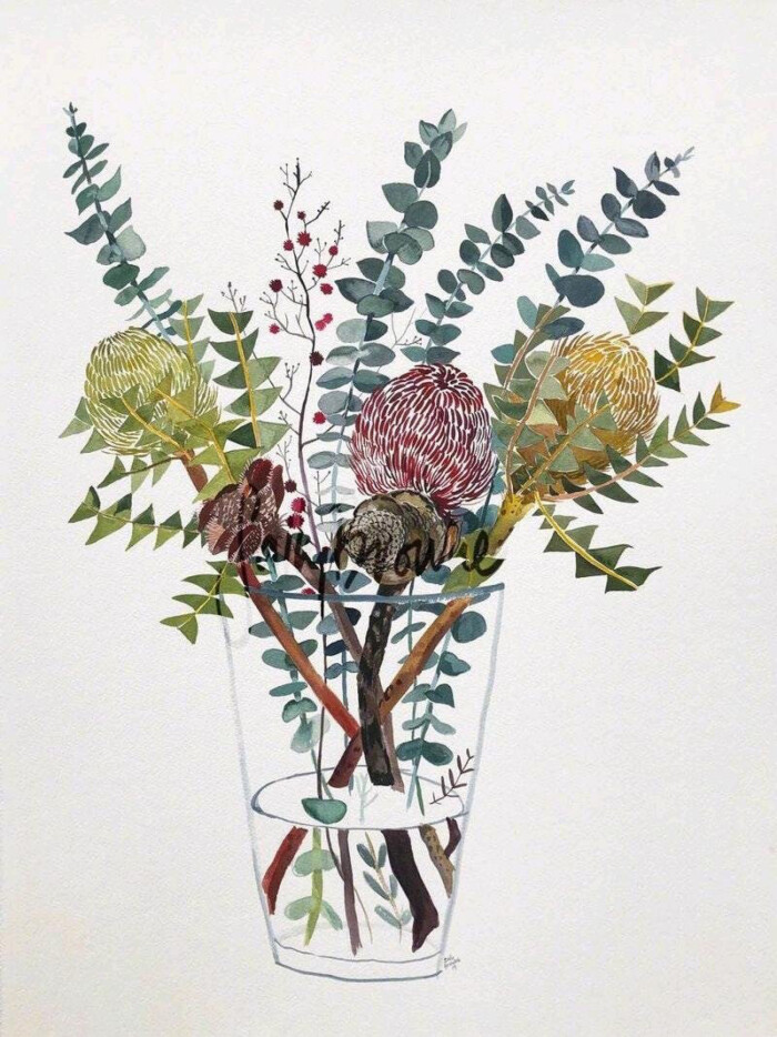 花艺插画系列