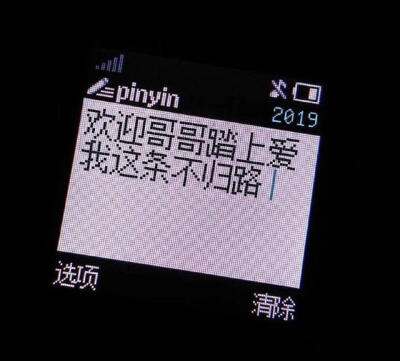 0条  收集   点赞  评论  诺基亚壁纸 屏保 锁屏"有内鬼,终止交易" 无