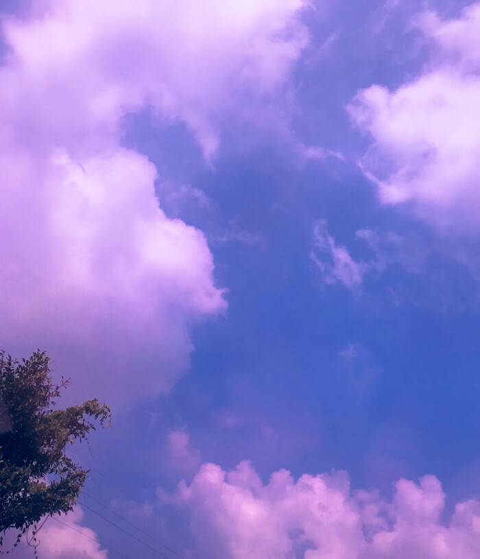 风景 少女心