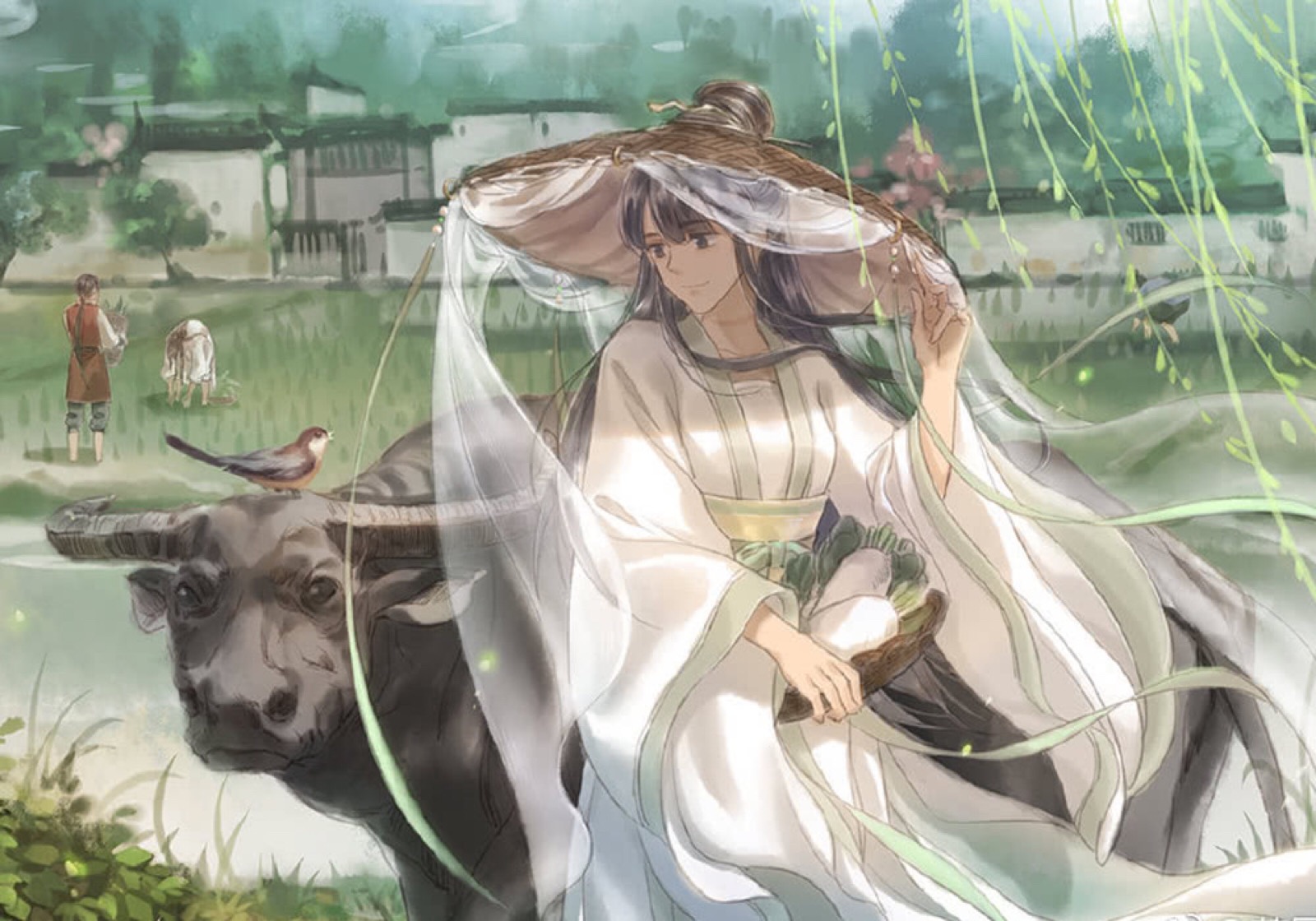 天官赐福 雨师篁画师 葵呆呆