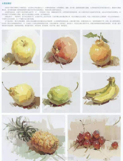 色彩静物单个