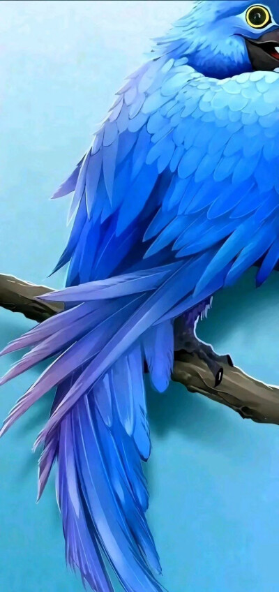 挖孔屏的壁纸