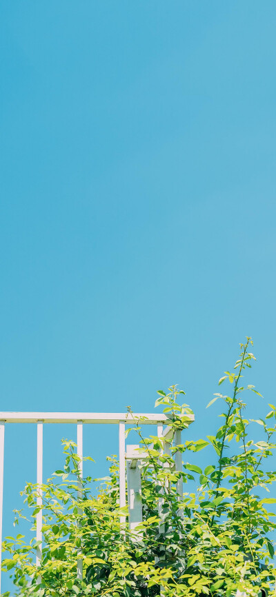 最新壁纸 清新简单好看的平铺壁纸都在这里 希望你们会喜欢