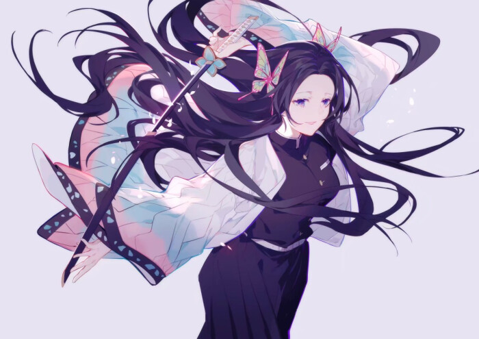 蝴蝶姊妹蝴蝶香奈惠蝴蝶忍