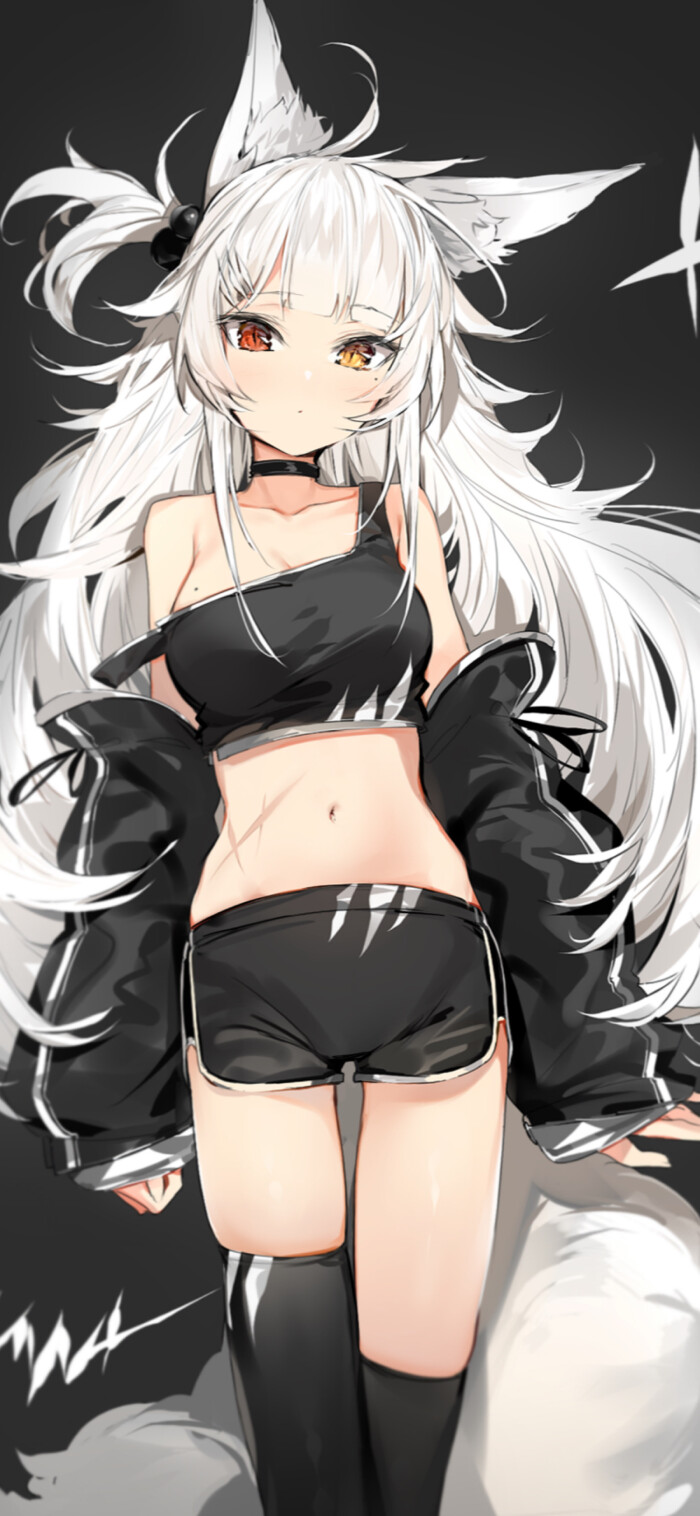 画师名:silver
