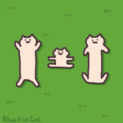 叠猫猫动图图片