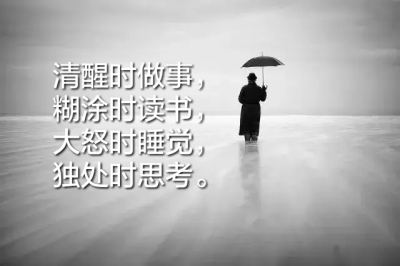 清醒时做事,糊涂时读书,大怒时睡觉,独处时思考.