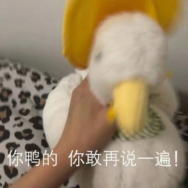 你鸭的,你敢再说一遍【表情包】
