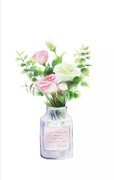 水彩花卉 手绘昙花