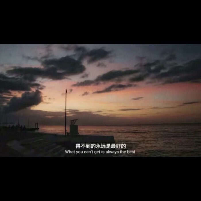 得不到的永远是最好的
