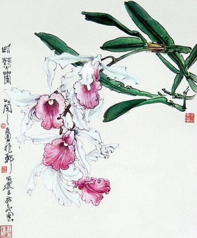 郑乃珖 工笔百花欣赏