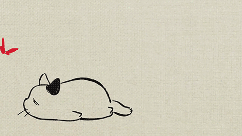 500_281gif 动态图 动图