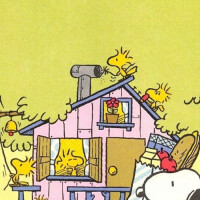 charlie brown&snoopy