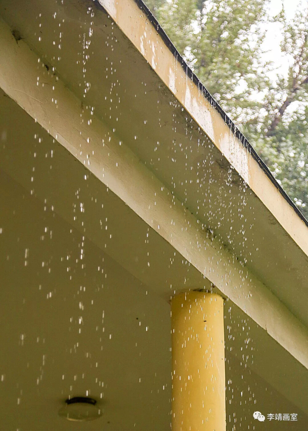 下着绵绵细雨的图片图片