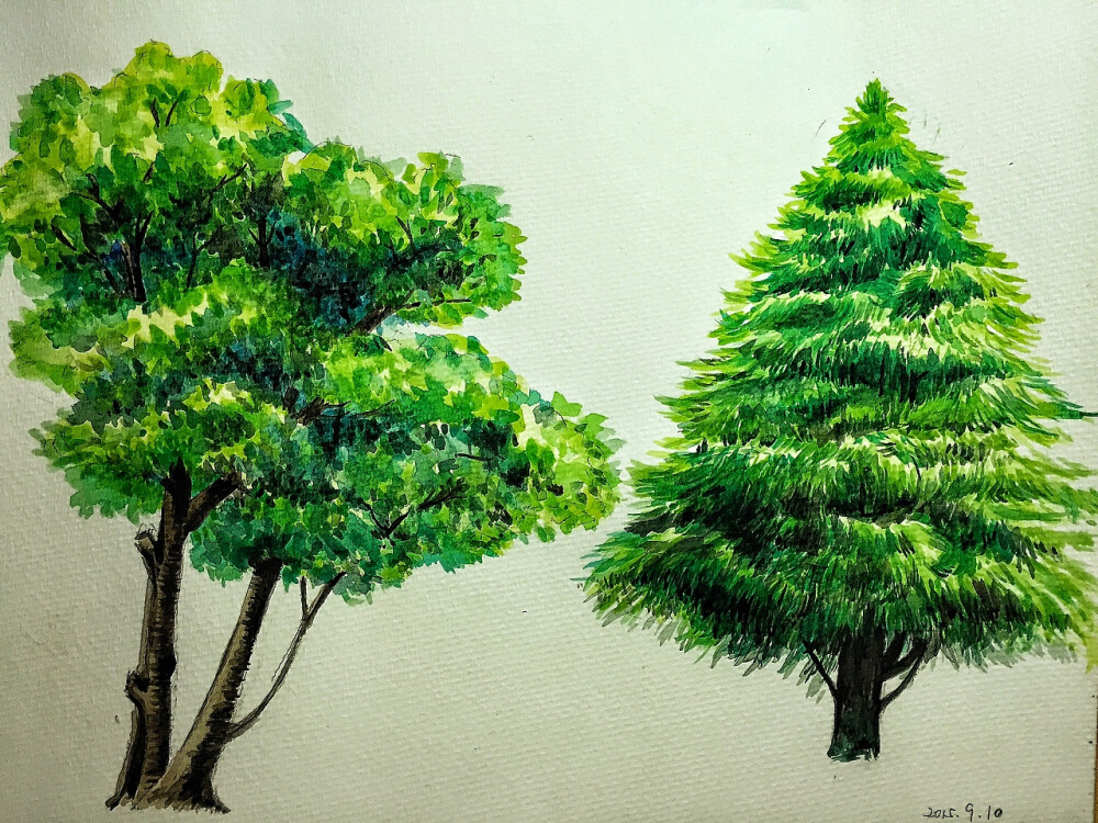 水粉树木的画法步骤图图片