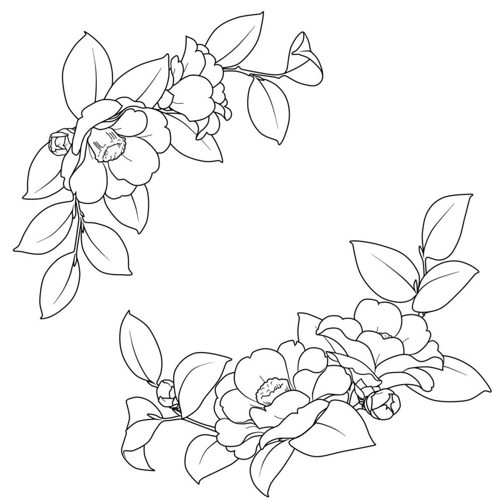 花/线稿/素材