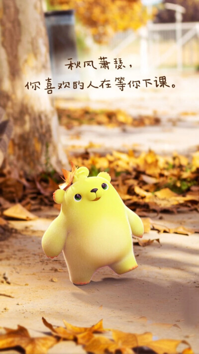 熊童子 - 堆糖,美图壁纸兴趣社区