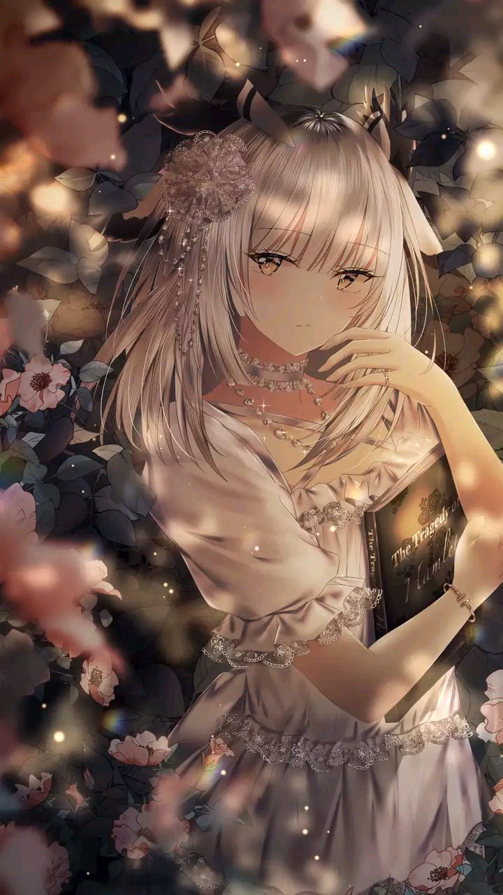 白面鸮 
