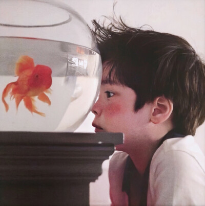 鱼缸男孩头像图片