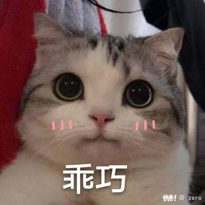 女生头像乖巧 堆糖,美图壁纸兴趣社区