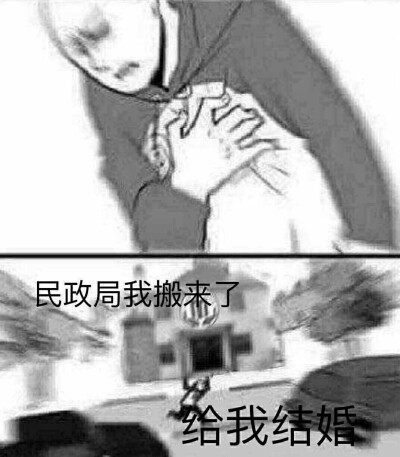 手机里的表情包