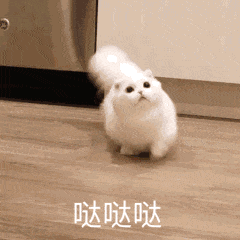表情包 