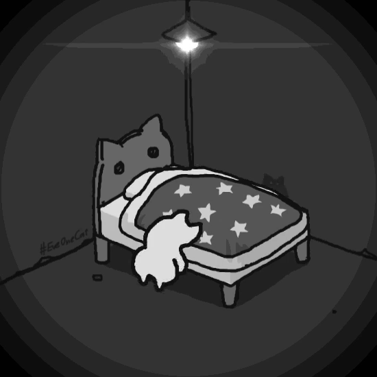 推主motions_cat的一系列沙雕猫动图 今日分快乐