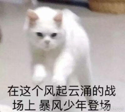 今日份沙雕表情包请签收