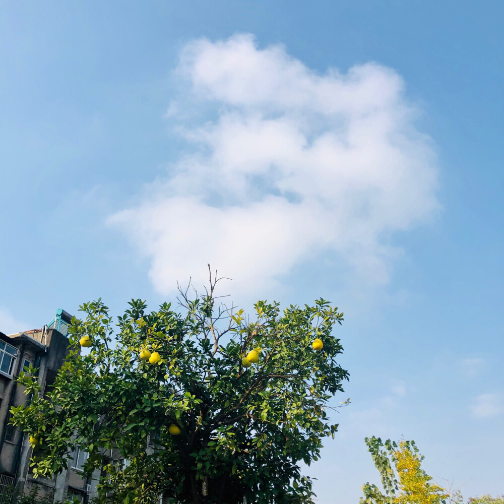 美好时光