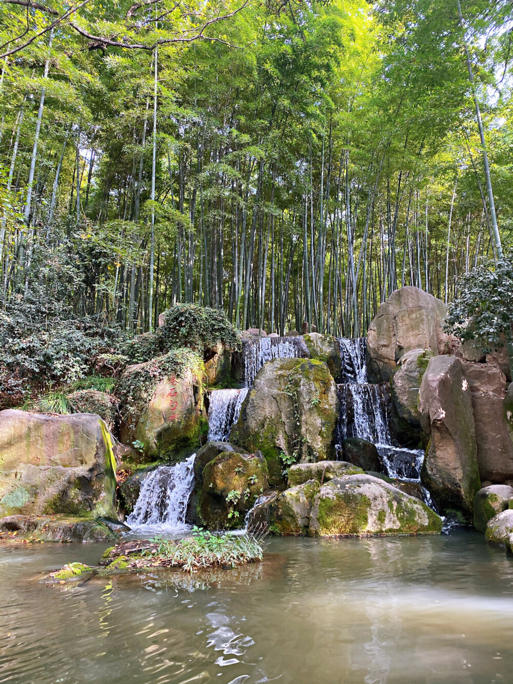 姑苏风光好山好水好人梦想路过全世界