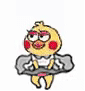 小黄鸡(鹦鹉)表情包