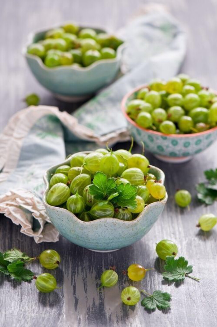 鹅莓 gooseberries ,学名:ribes uva-crispa,又称醋栗,北方俗称灯笼果