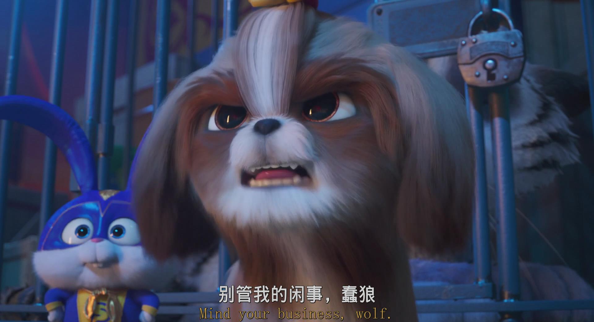 爱宠大机密