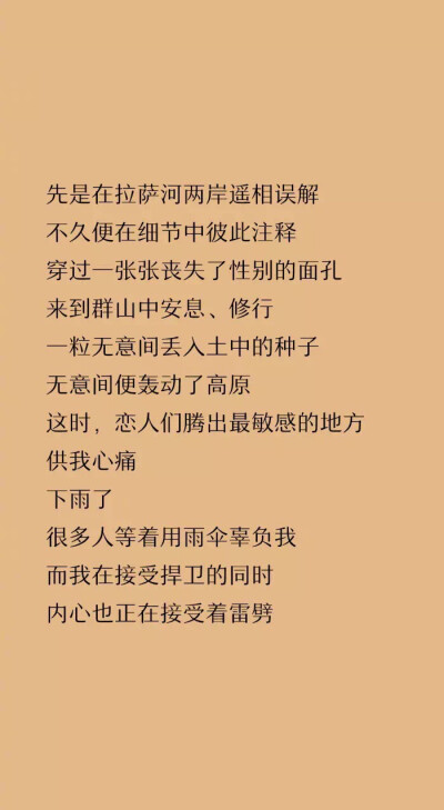 分享东西