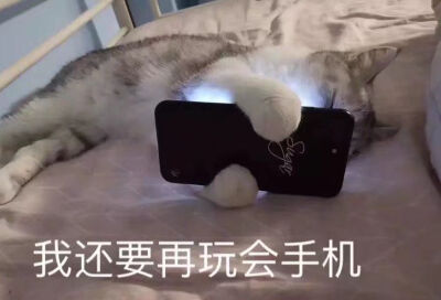 罢了罢了 表情包