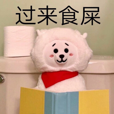 bt21团图