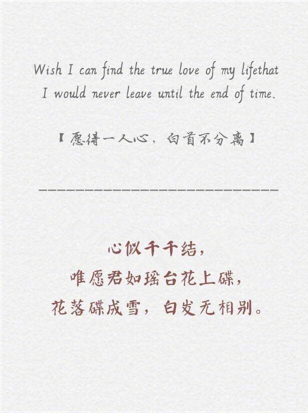 英文翻译中文 超美句子