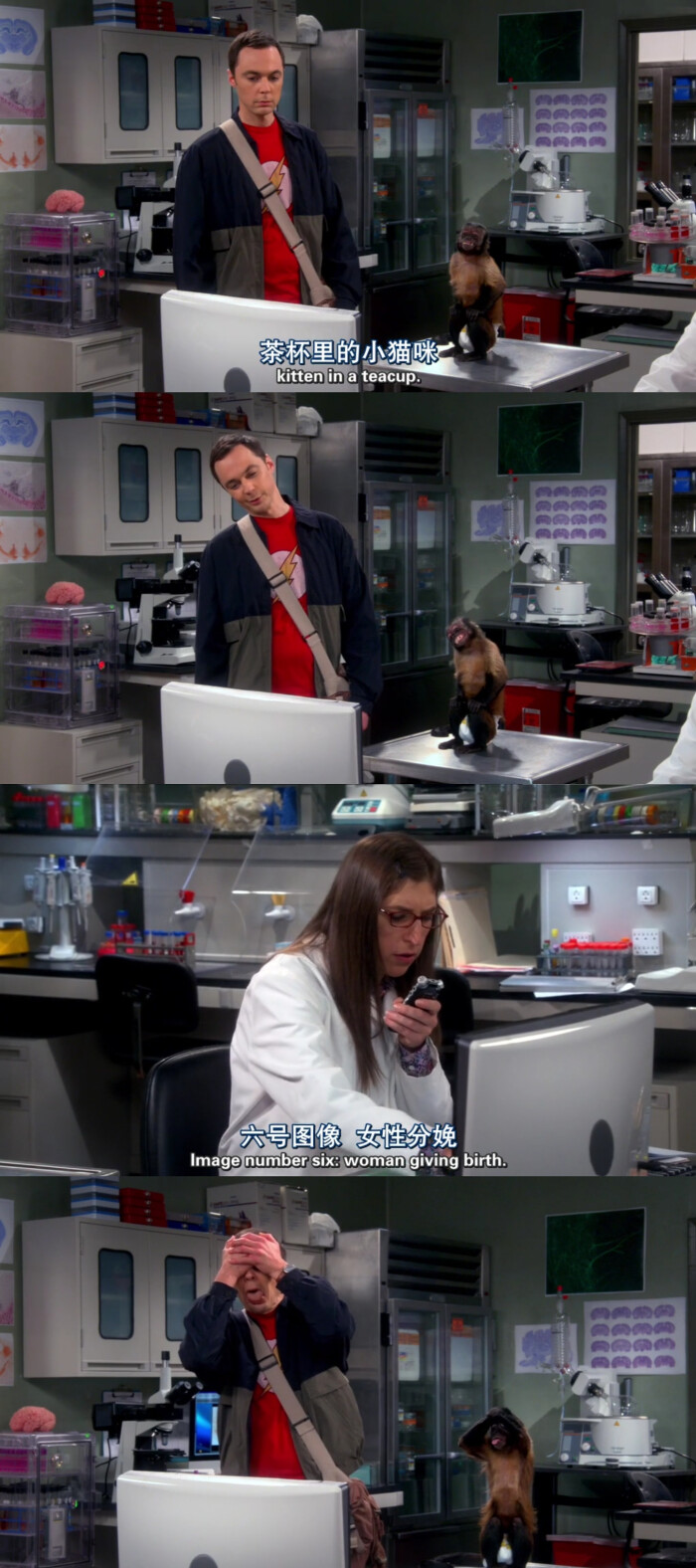 生活大爆炸 - 堆糖,美图壁纸兴趣社区