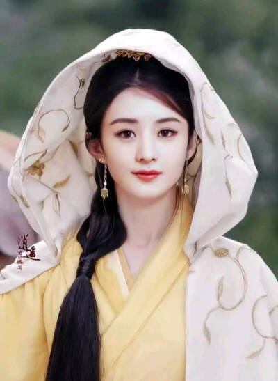 赵丽颖