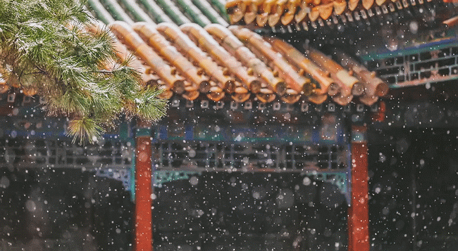 故宫雪景动态图图片