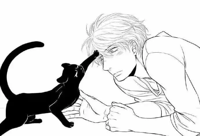 黑猫男友