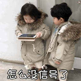 金雪表情包