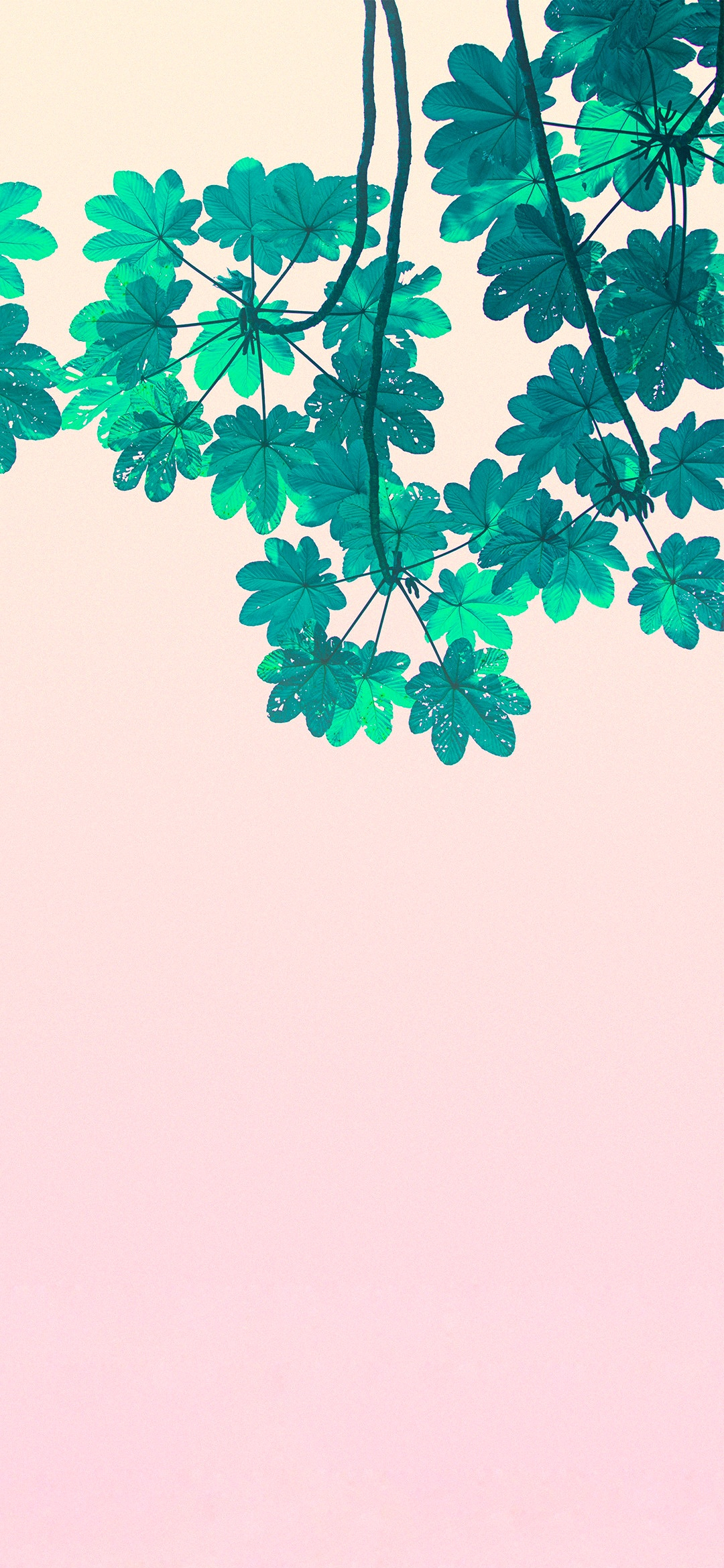 适合做阅读背景