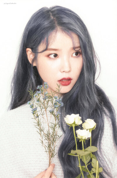 iu | love poem cr:砂糖收藏家