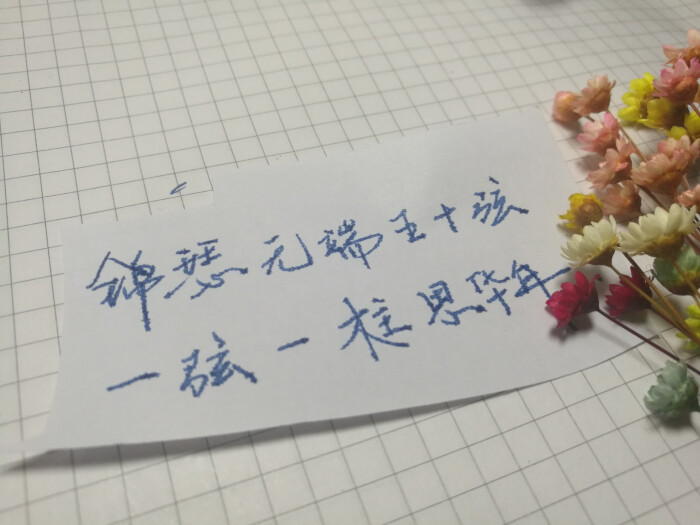 手写文字 摘录 古风 情感 短句 唯美 文字控 伤感 歌词 经典 文字句子