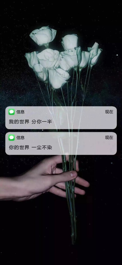 星河滚烫你是人间理想满目星河皆是爱而不得