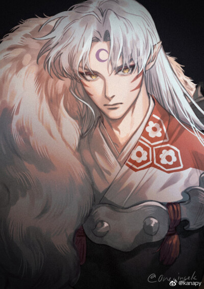 杀生丸 犬夜叉